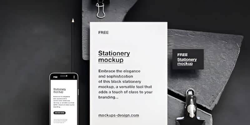 Website Development Solutions - 世界杯2026